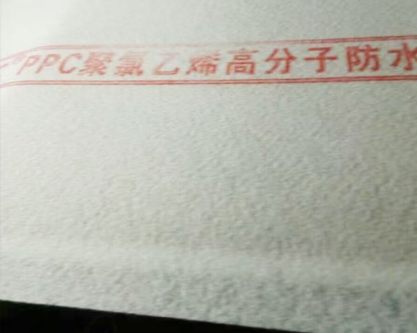 PPC聚氯乙烯高分子防水材料